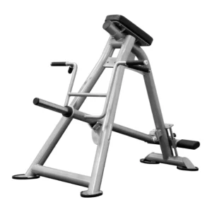 Bodykore Standing T-Bar Row
