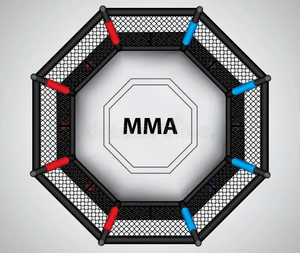 MMA Octagon - As Is Functional