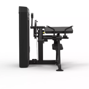Biceps Curl