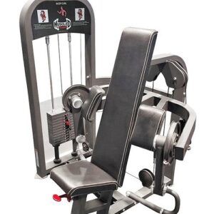 MD Biceps Curl