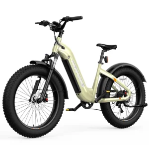 HOVSCO™ HovAlpha 26" Step-Thru Fat Tire Ebike