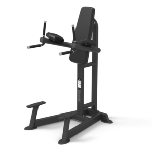 Spirit VERTICAL LEG RAISE/DIP CSF-VKRD