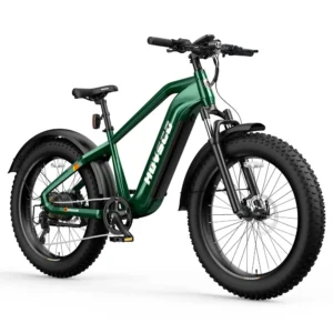 HOVSCO™ HovAlpha 26" Fat Tire Electric Bike