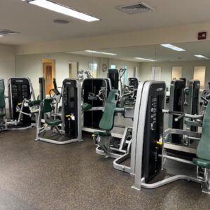 Cybex Eagle Strength Circuit – Silver Frame